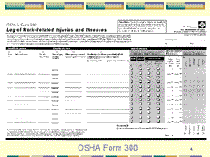 Slide 4 - Form 300 